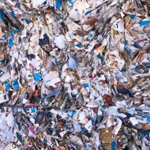 Overissued new Magazines (29/01/26)